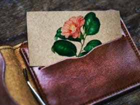 Best Vegan Wallets