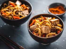 are udon noodles vegan?
