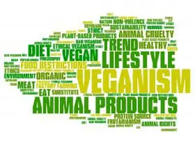  Zusammenfassung unserer besten Vegan challenge