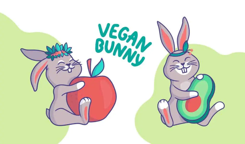 vegan bunny