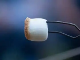 Are marshmallows vegan?