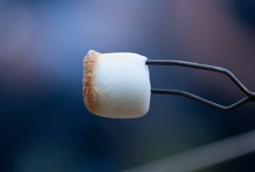 Are marshmallows vegan?