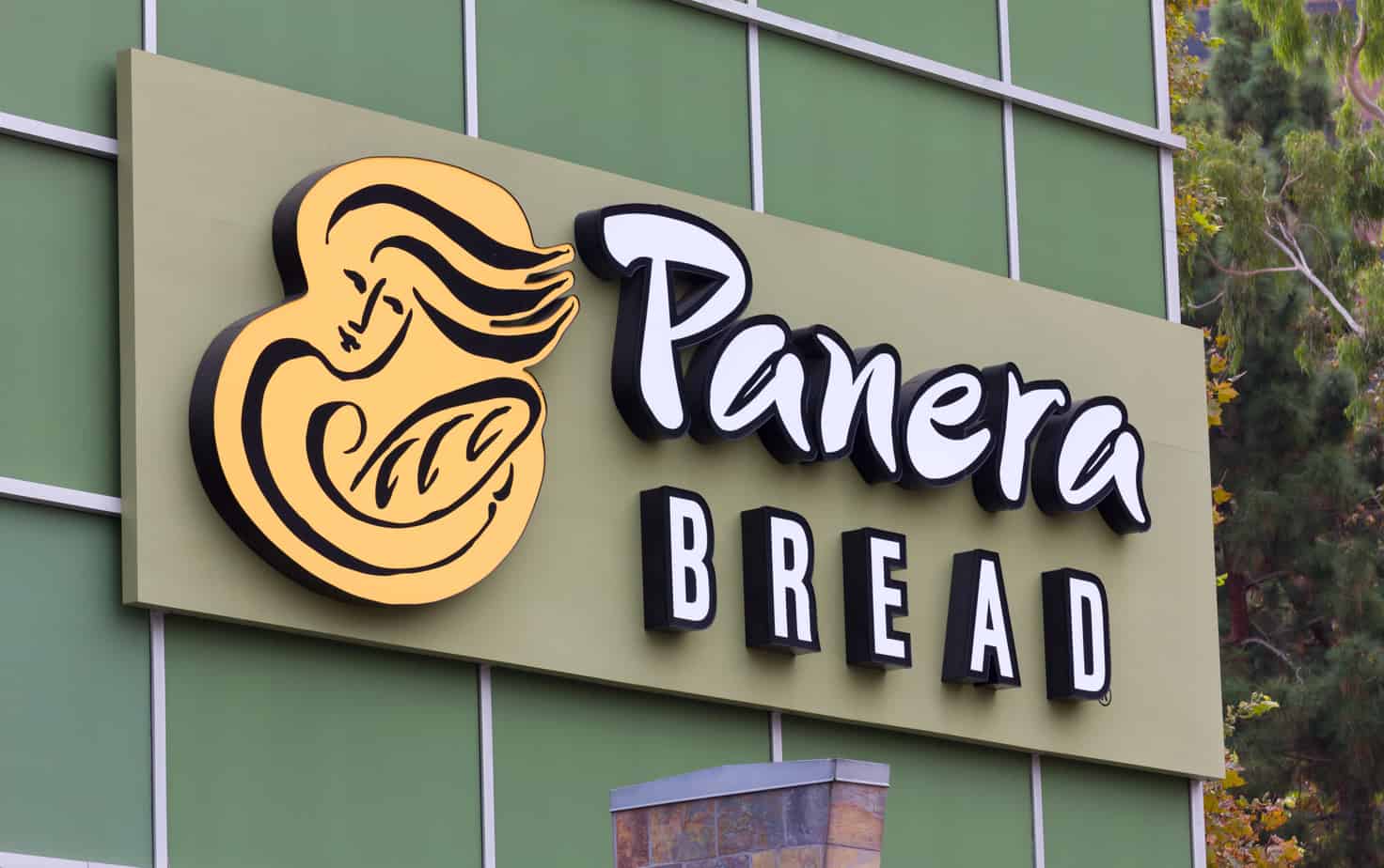 Vegan Options at Panera A Complete Guide