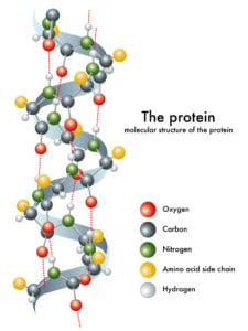 molecular structure of a protein